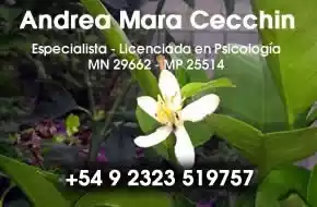 Dra. Cecchiin Licenciada Psicología