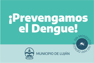 Dengue: Qué es, cuáles son los síntomas, cómo se transmite, se trata y se previene