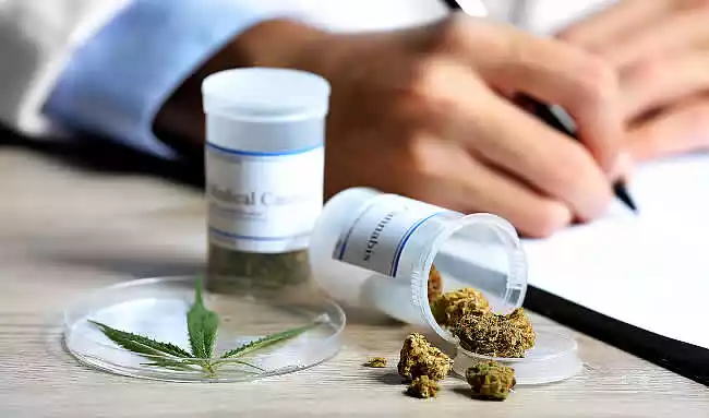 Destacan el uso de cannabis medicinal