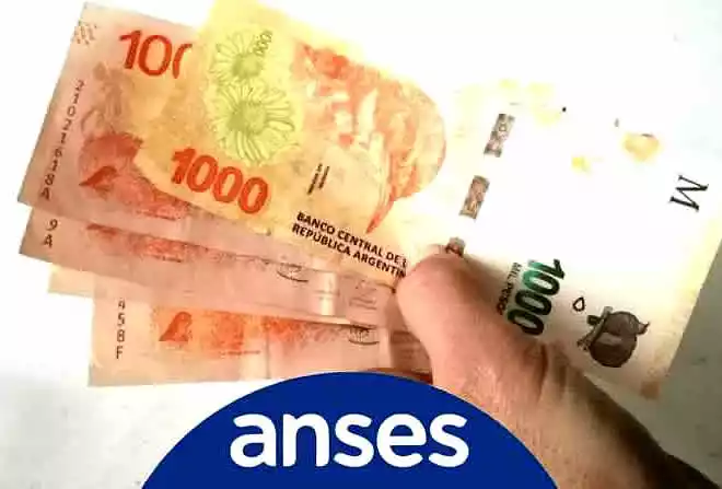 credito anses