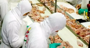 Exportación de carne aviar